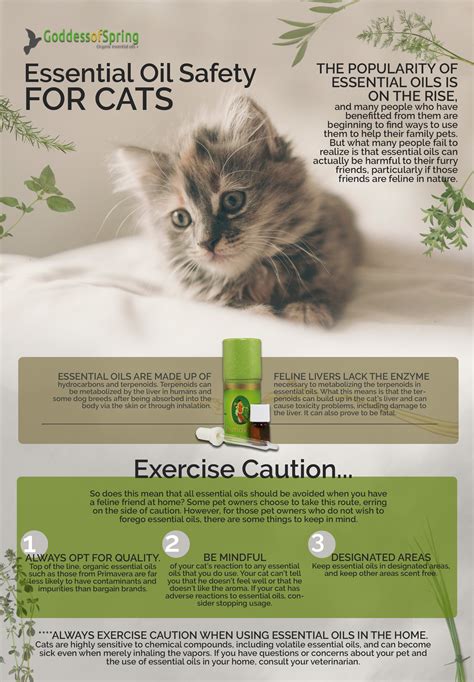 Be cautious spraying pine or presenting too much of it to <b>cats</b>, as some species of pine are listed by the ASPCA as being toxic <b>for cats</b>. . Is pledge safe for cats